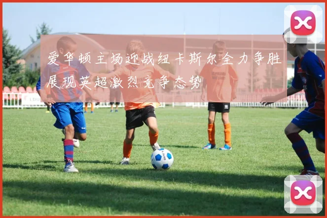 爱华顿主场迎战纽卡斯尔全力争胜展现英超激烈竞争态势