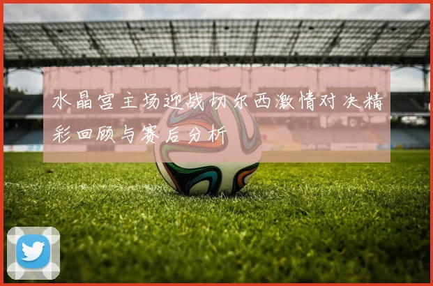 水晶宫主场迎战切尔西激情对决精彩回顾与赛后分析